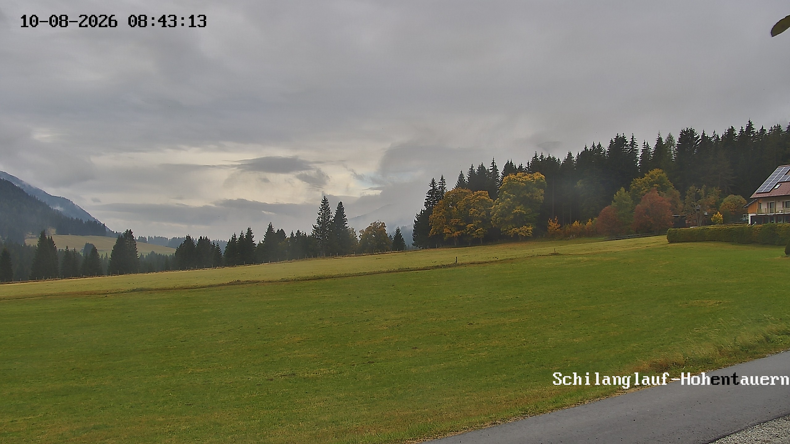 Neuestes Bild